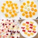 Wholesale BPA-Free Heart Shape Mini Dinosaur Silicone Candy Molds by Kinshing – Professional Bakeware Manufacturer in China